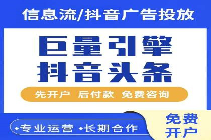 某某SEM服务公司成功案例：从数据出发的营销策略